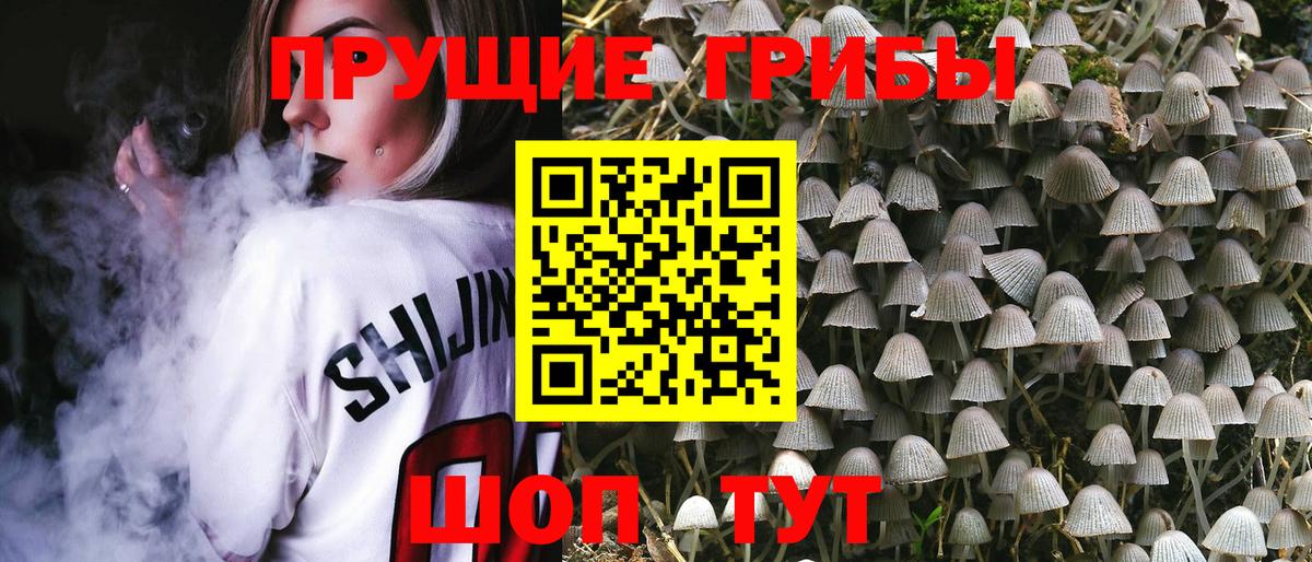 Галлюциногенные грибы GOLDEN TEACHER Шелехов