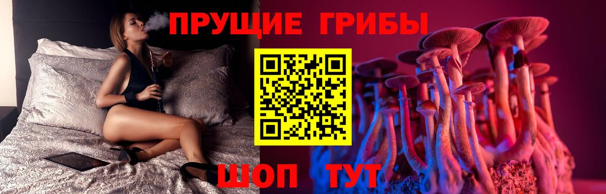 наркота  Вход с VPN  Шелехов  Галлюциногенные грибы мицелий 